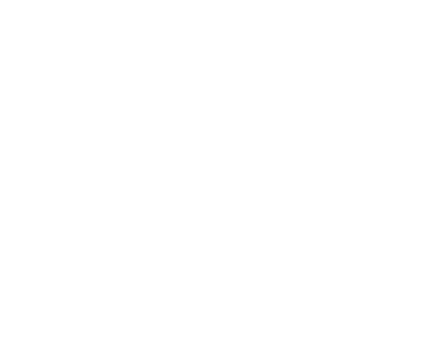 Hi tech Pickleball Gifts